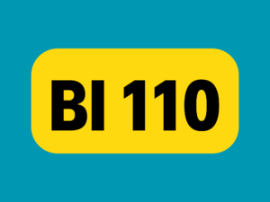 BI 110.png