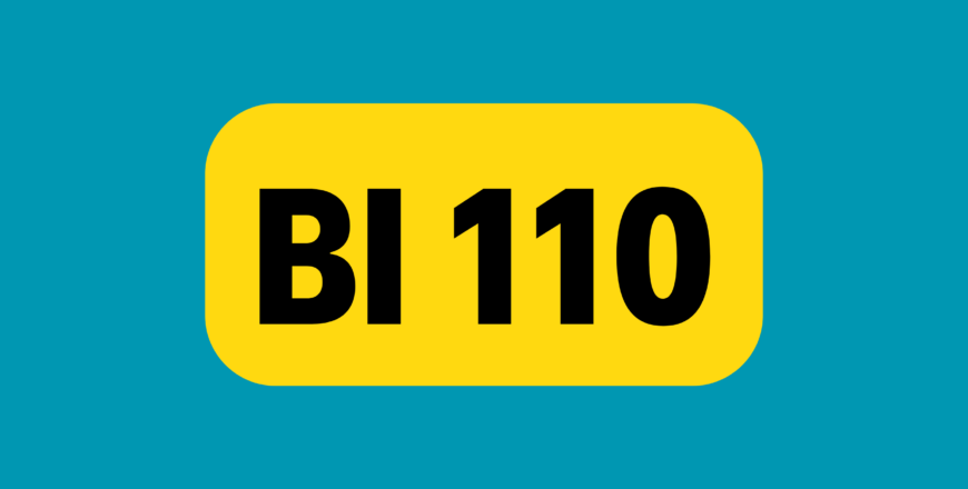 BI 110.png